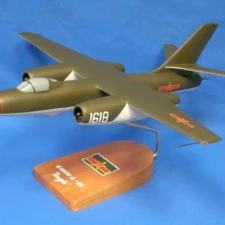 IL28 Beagle